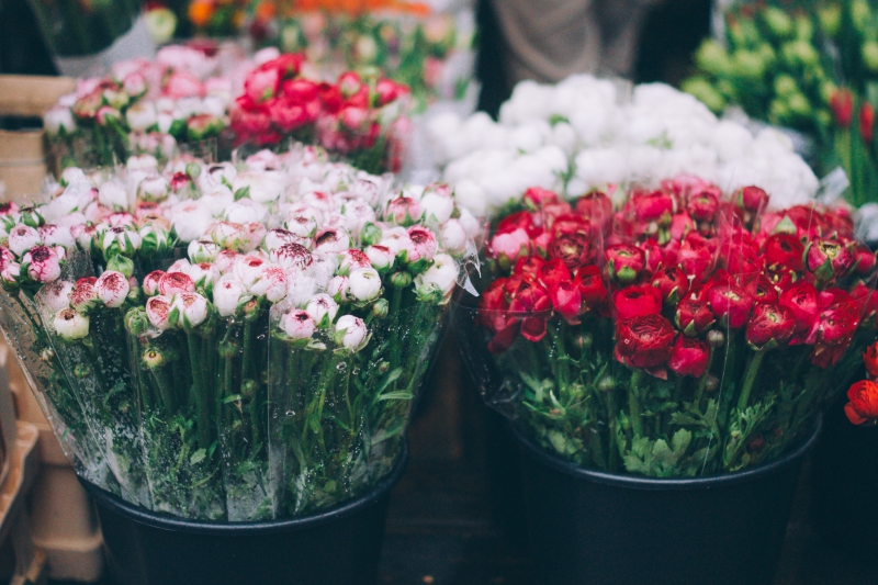 fleuriste-COMPS SUR ARTUBY-min_farmers-market-1209712